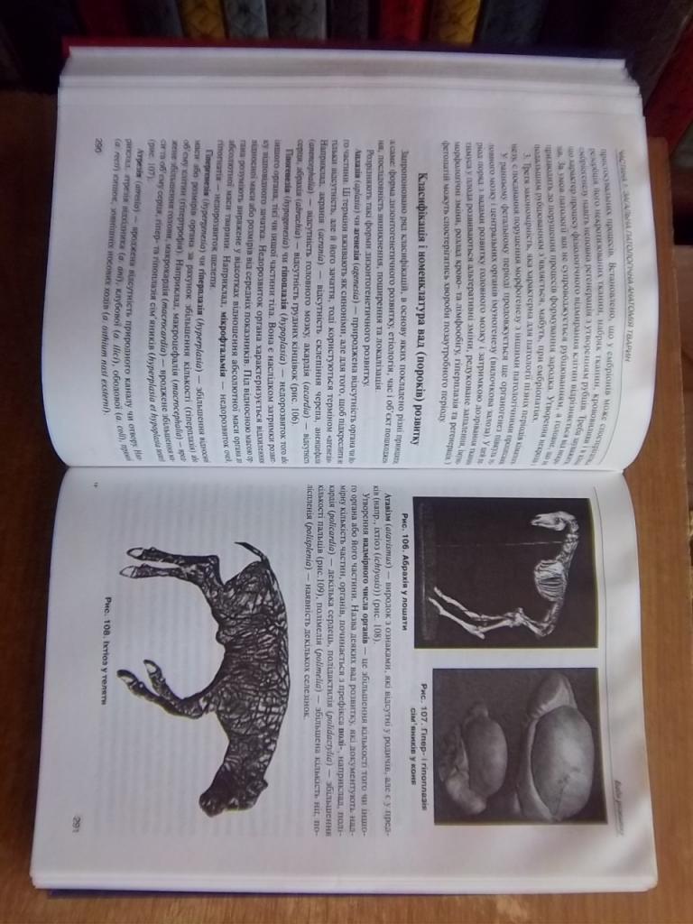 Патологічна анатомія тварин. Навчальний посібник для підготовки фахівців. 1