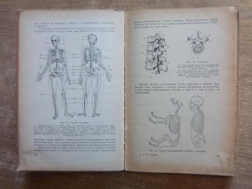 Учебник анатомии и физиологии человека для VIII класса средней школы. 1