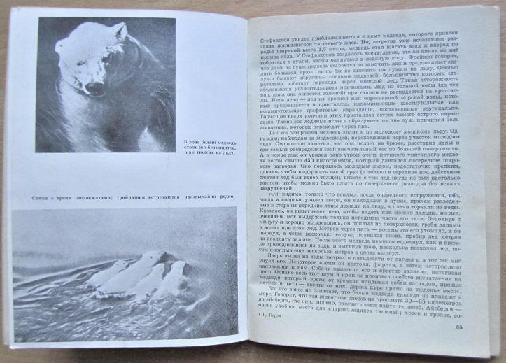 Ричард Перри Мир белого медведя. 2
