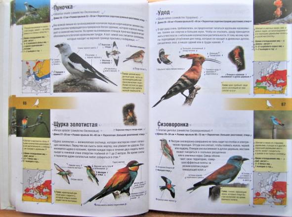Энциклопедия животных и растений. Более 750 видов. 1