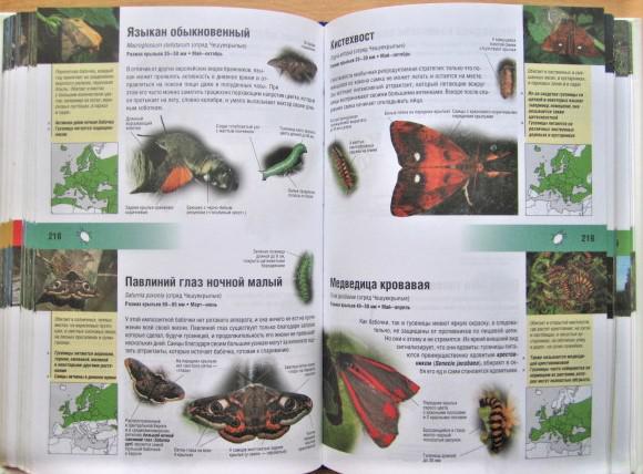 Энциклопедия животных и растений. Более 750 видов. 3