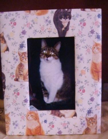 Рамка для фото и альбом Кошки Англия винтаж