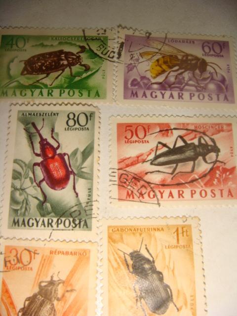 Набор марок насекомые 50х годов Венгрия 6 шт 1