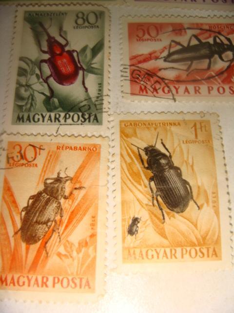 Набор марок насекомые 50х годов Венгрия 6 шт 2
