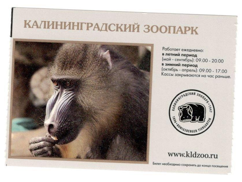 Билет. Калининградский зоопарк