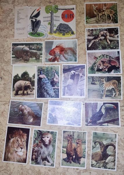 Московский зоопарк. Комплект из 16 цветных открыток.