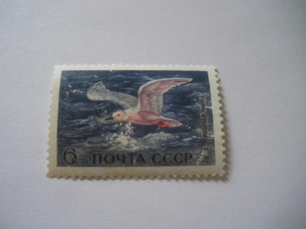 СССР 1972 Фауна Птицы Розовая чайка