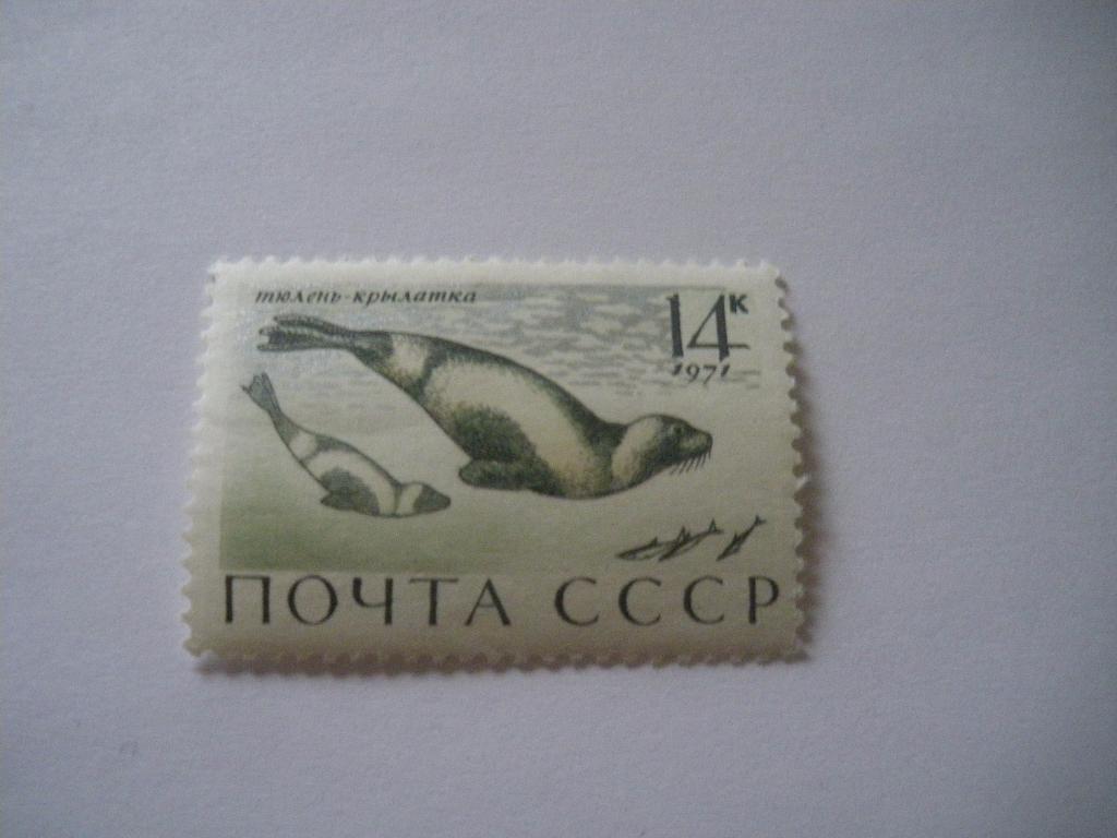 СССР 1971 Фауна Морские животные Тюлень-крылатка