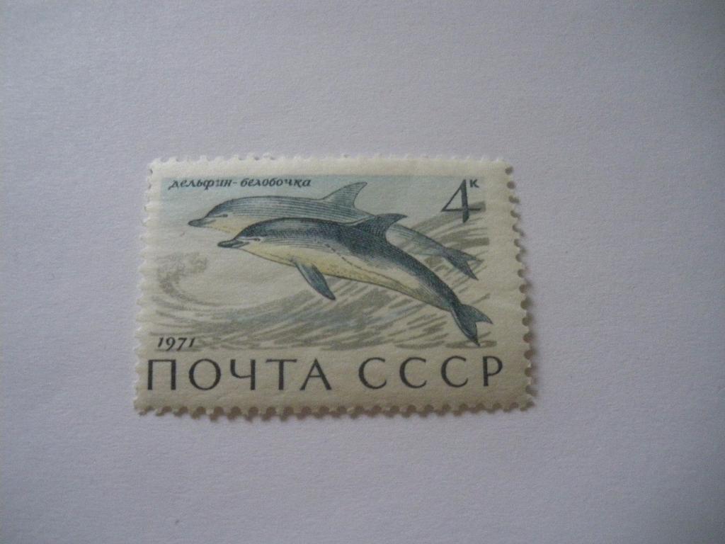 СССР 1971 Фауна Морские животные Дельфин-белобочка