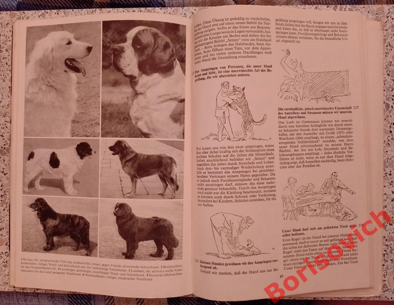400 советов любителю собак 1965 г 112 страниц На немецком языке 7