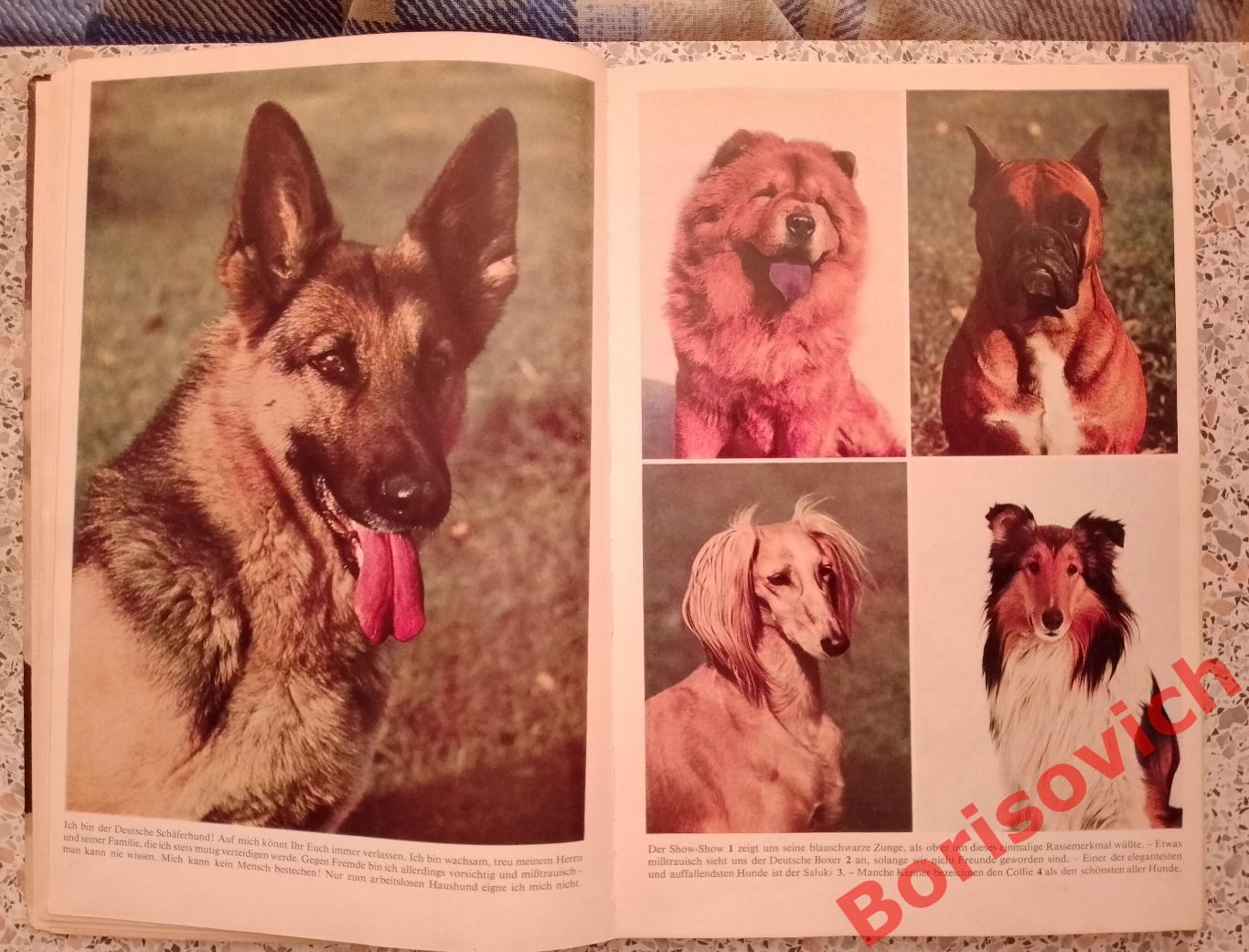 400 советов любителю собак 1965 г 112 страниц На немецком языке 2