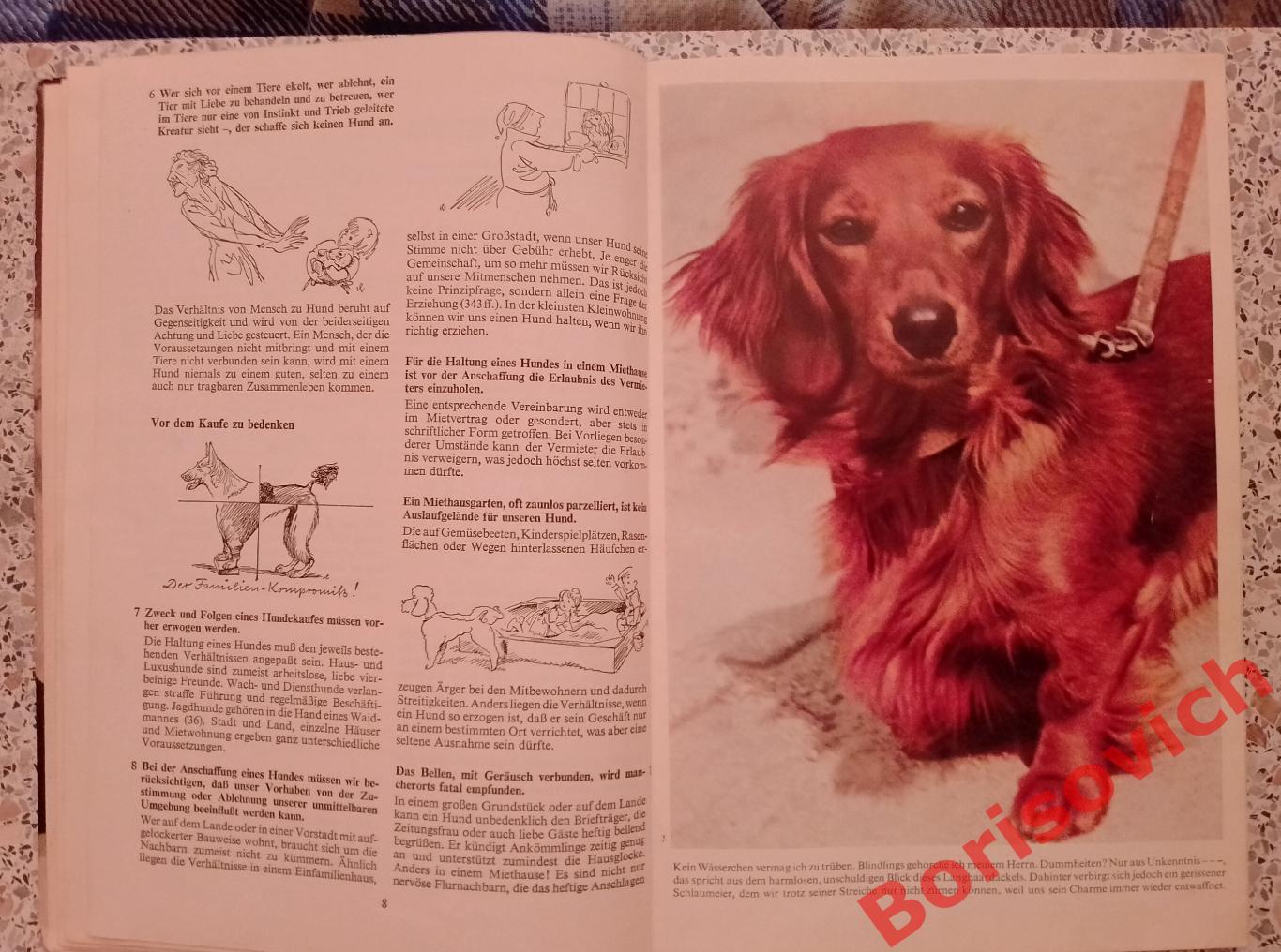 400 советов любителю собак 1965 г 112 страниц На немецком языке 1