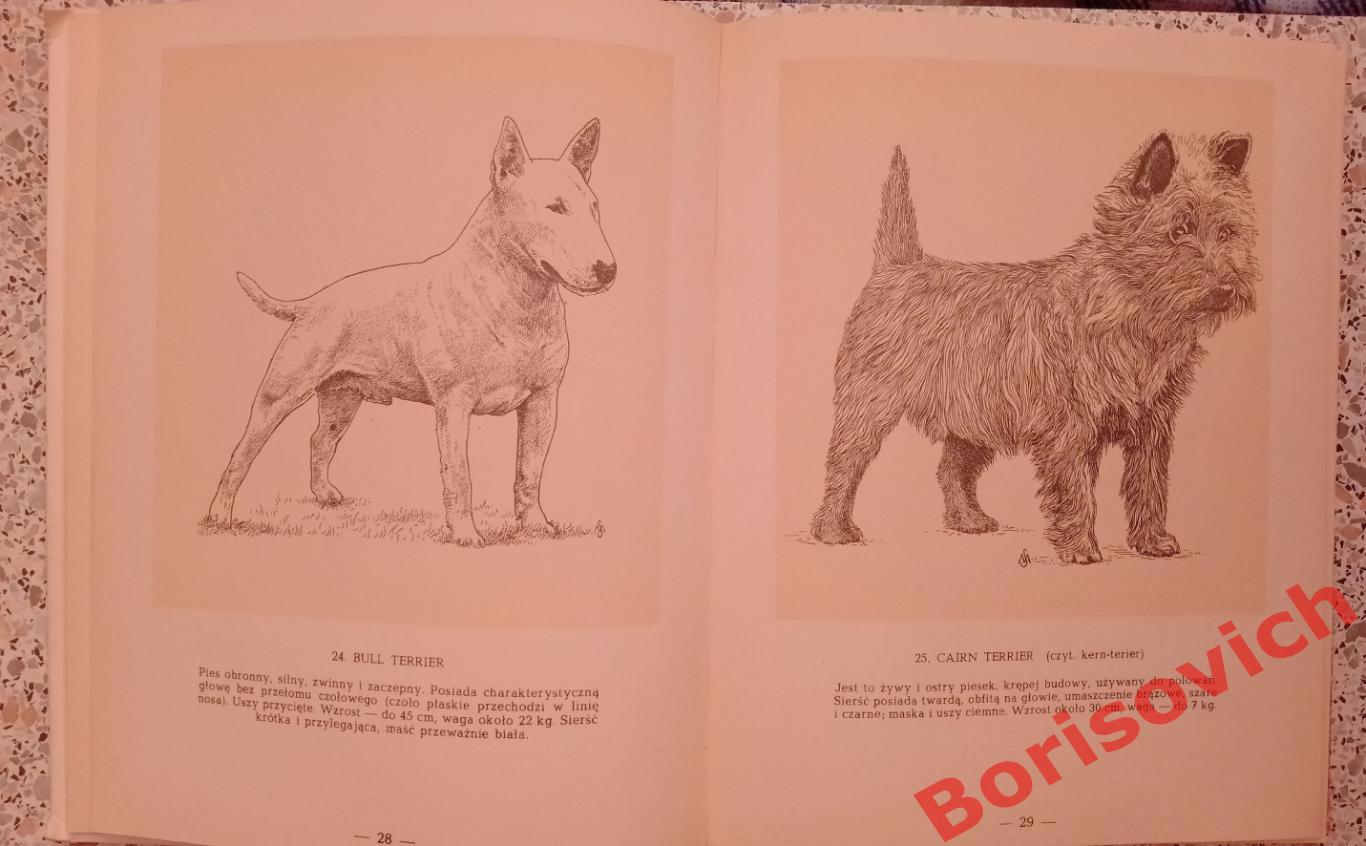 Породистые собаки 1960 г 144 страницы На польском языке. 3