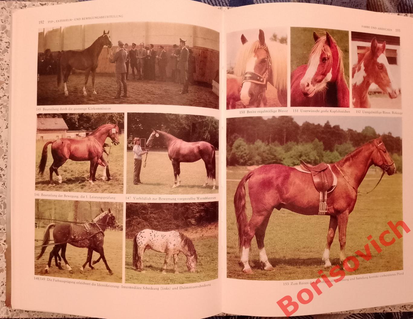 Разведение лошадей Pferde zucht 1987 г 448 страниц НА НЕМЕЦКОМ ЯЗЫКЕ 4