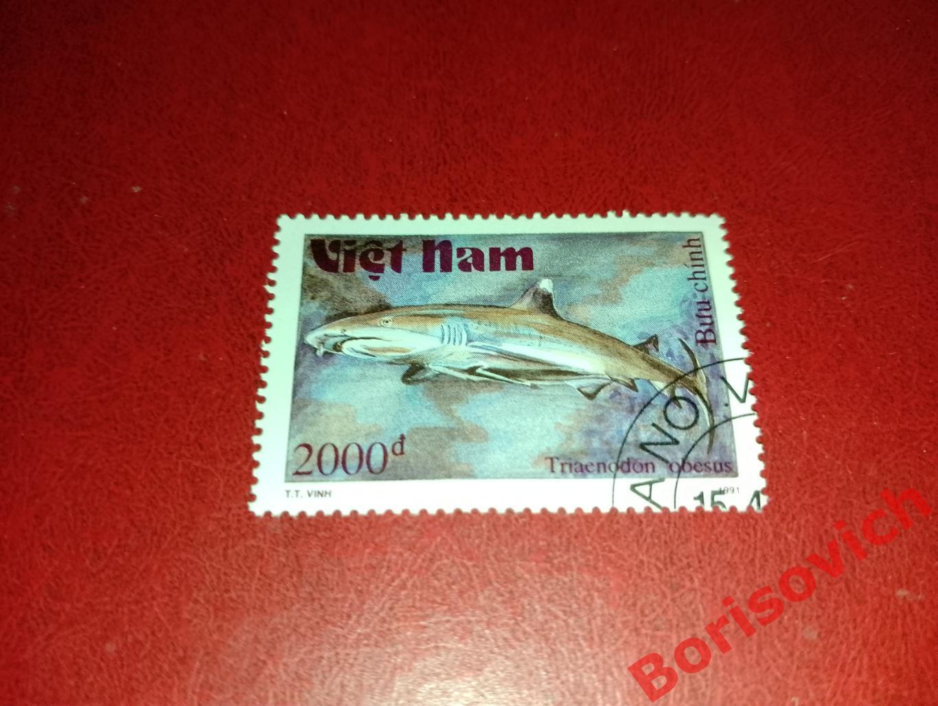 Марки Рыбы Рифовая акула Вьетнам. 9