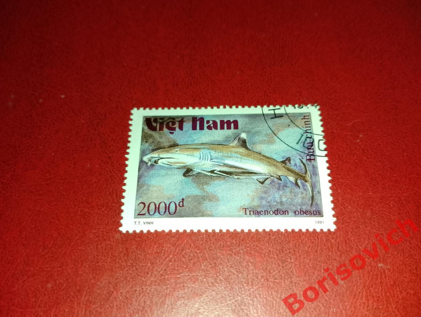 Марки Рыбы Рифовая акула Вьетнам. 10