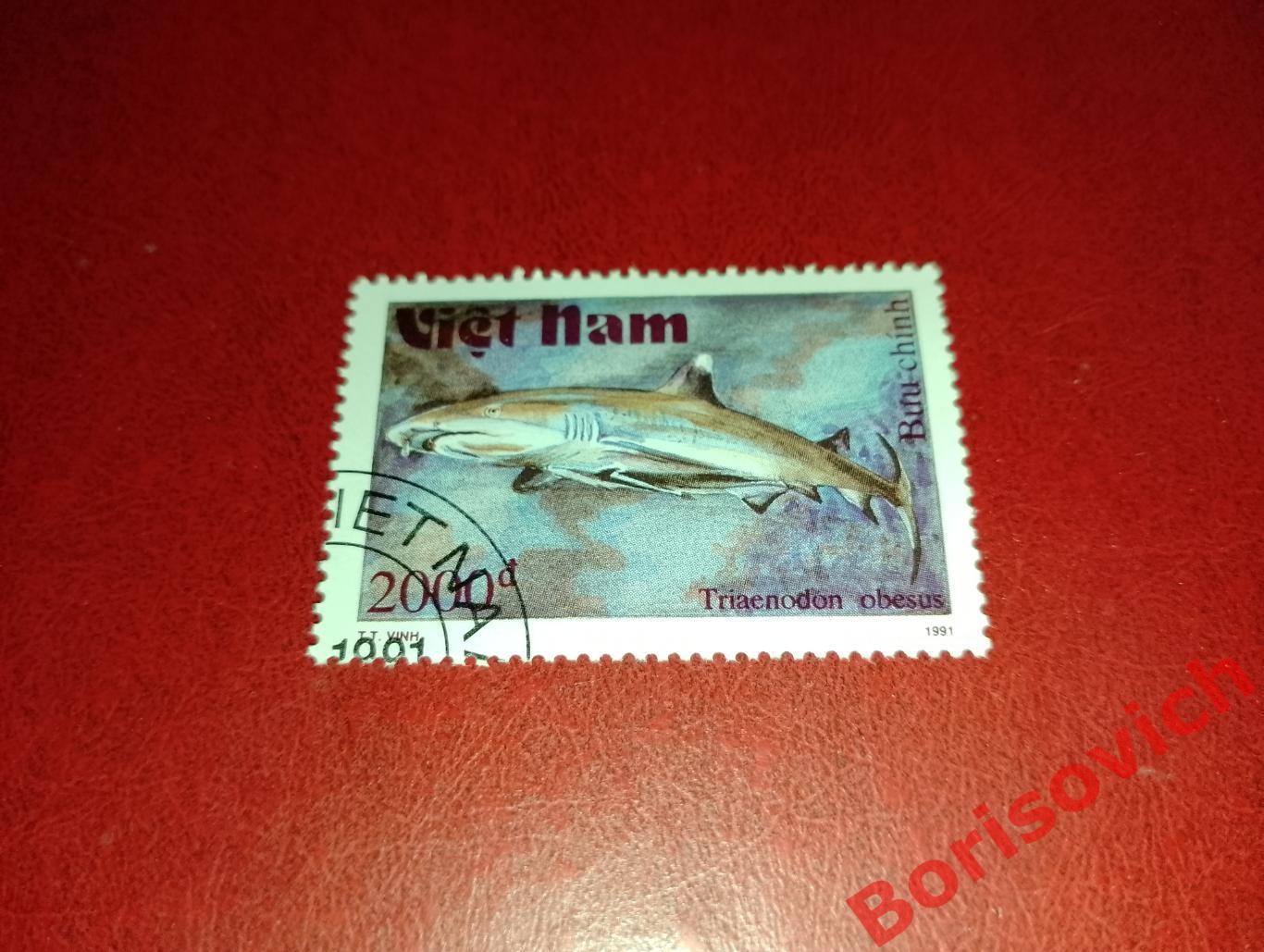 Марки Рыбы Рифовая акула Вьетнам. 11