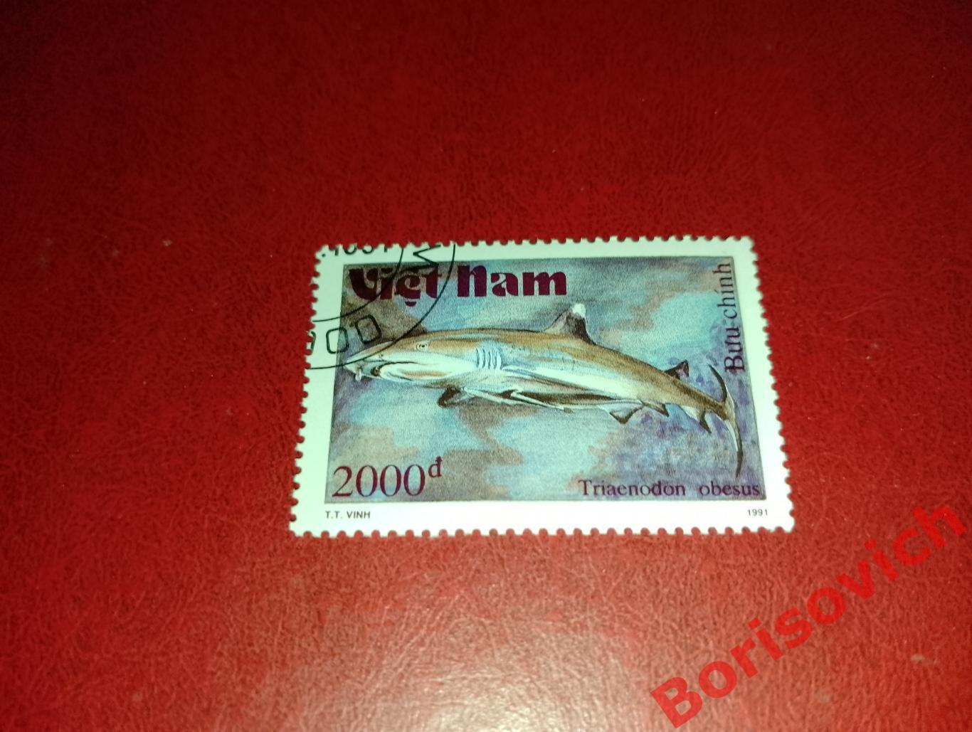 Марки Рыбы Рифовая акула Вьетнам. 12