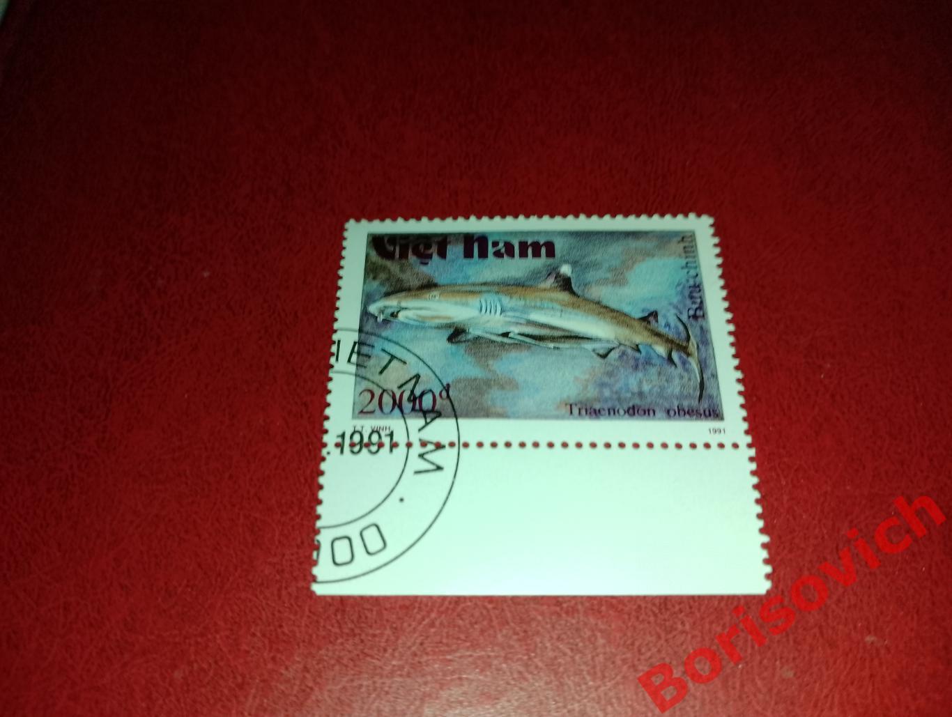 Марки Рыбы Рифовая акула Вьетнам. 14