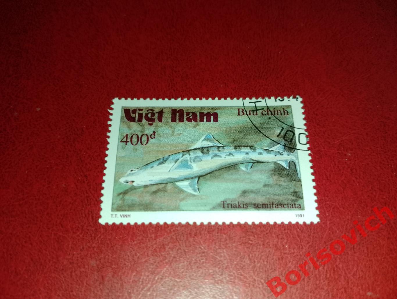 Марки Рыбы Калифорнийская тройнозубая акула Вьетнам. 6