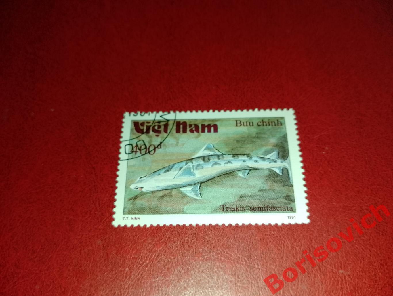 Марки Рыбы Калифорнийская тройнозубая акула Вьетнам. 7
