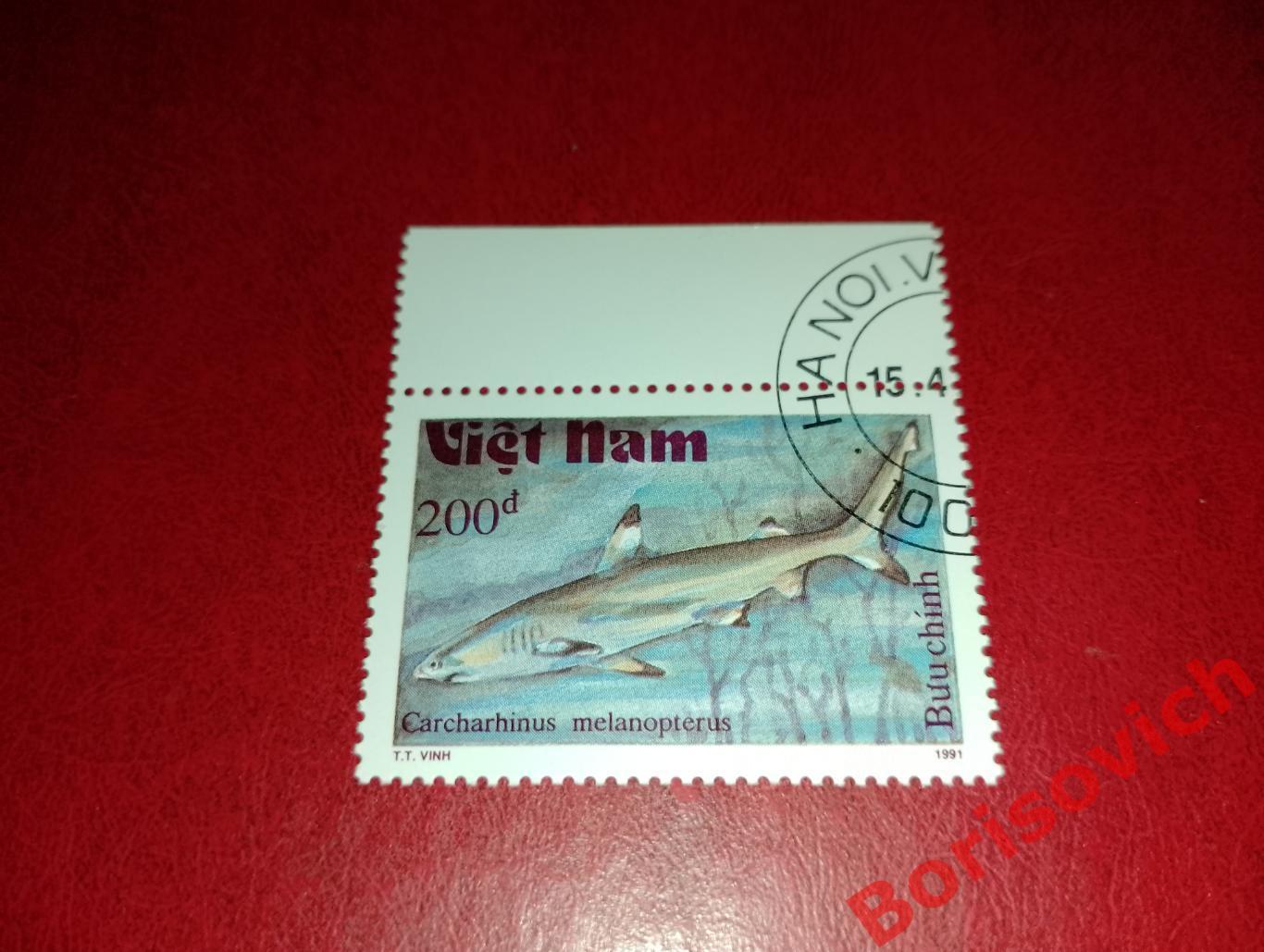 Марки Рыбы Мальгашская ночная акула Вьетнам. 9