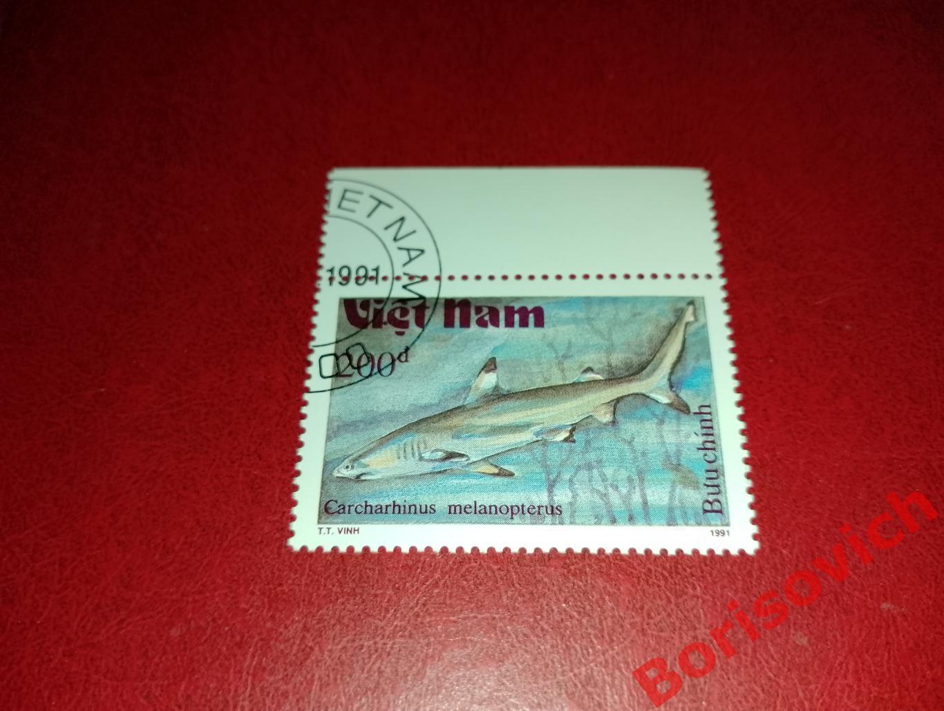 Марки Рыбы Мальгашская ночная акула Вьетнам. 10