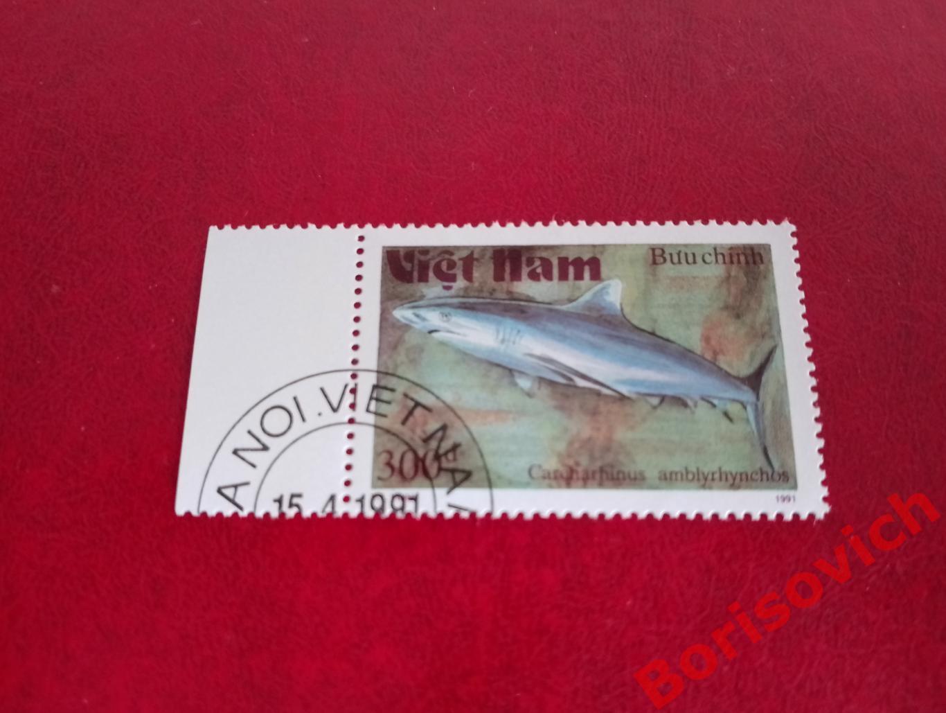 Марки Рыбы Темноперая серая акула Вьетнам. 3