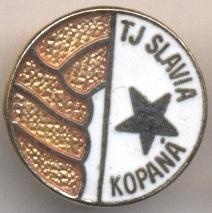 футбольный клуб Славия Прага (Чехия)1 ЭМАЛЬ / Slavia Prague,Czech football badge