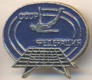 срср=ссср стрибки батут федерація алюм/ussr soviet trampolining federation badge