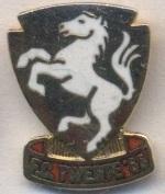 футбол.клуб Твенте (Нідерл. офіц. ЕМАЛЬ/FC Twente,Netherlands football pin badge