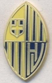 футбол.клуб Верона (Італія ЕМАЛЬ/Hellas Verona,Italy football replica2 pin badge