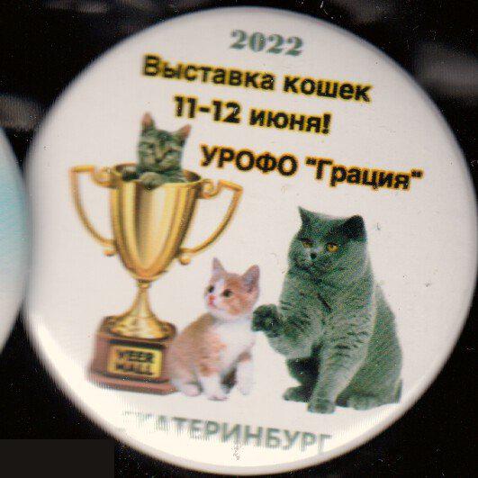 Выставка кошек, Екатеринбург
