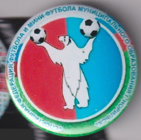 Норильск, федерация футбола и мини-футбола