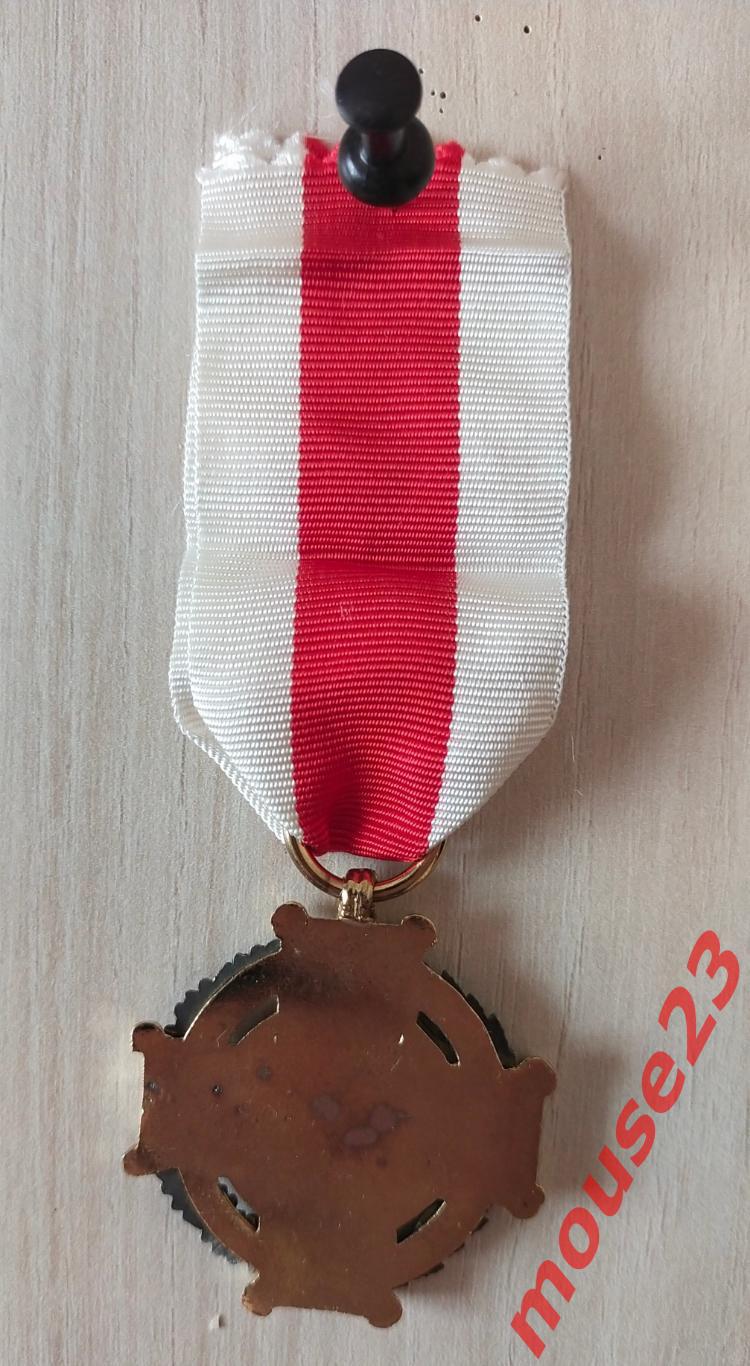 Почетная медаль пожарной службы За заслуги перед ЗОСП РП в Гройце. Польша 2