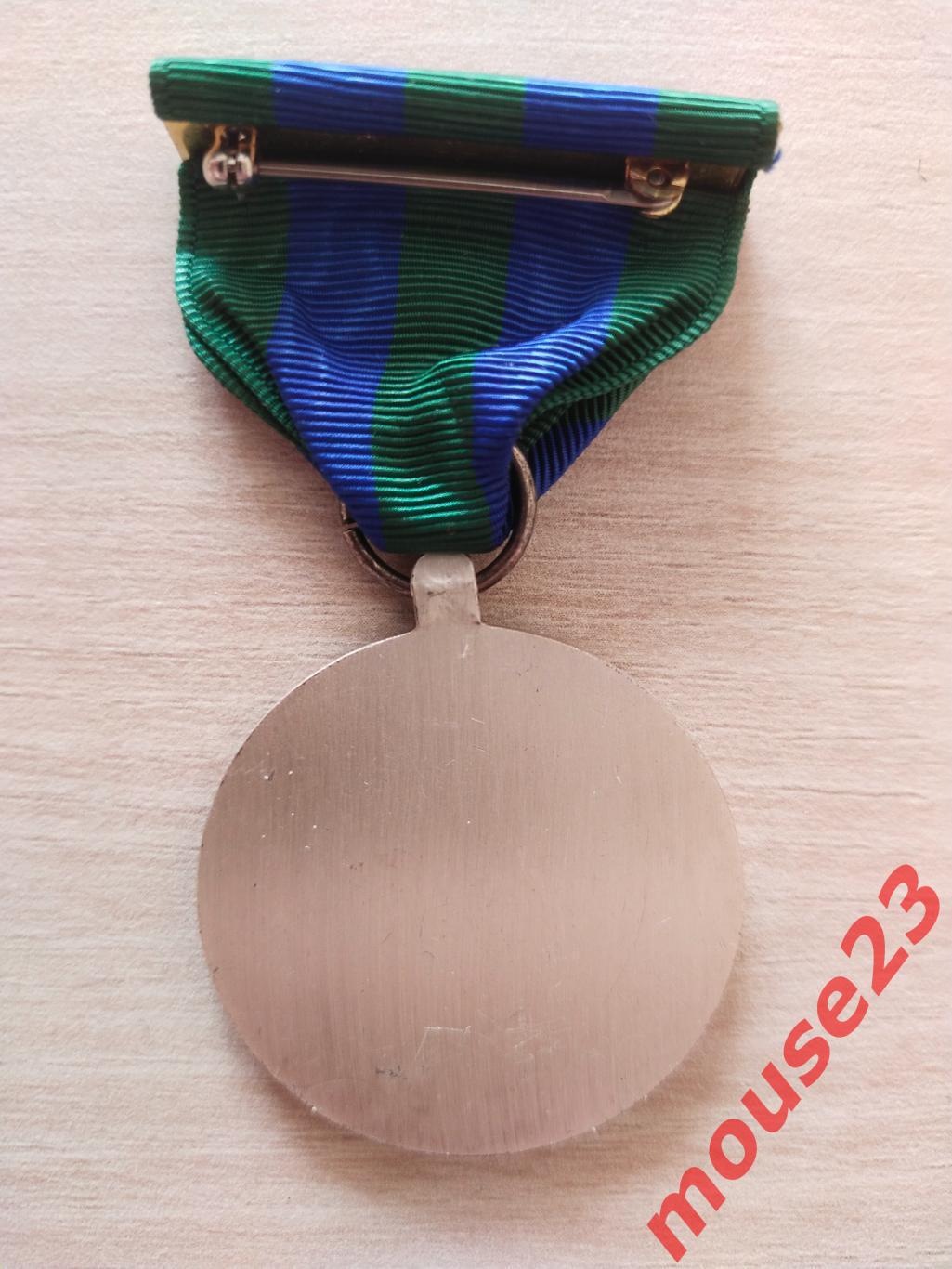 Серебряная медаль Национальной гвардии округа Колумбия За достижения-США (2) 1