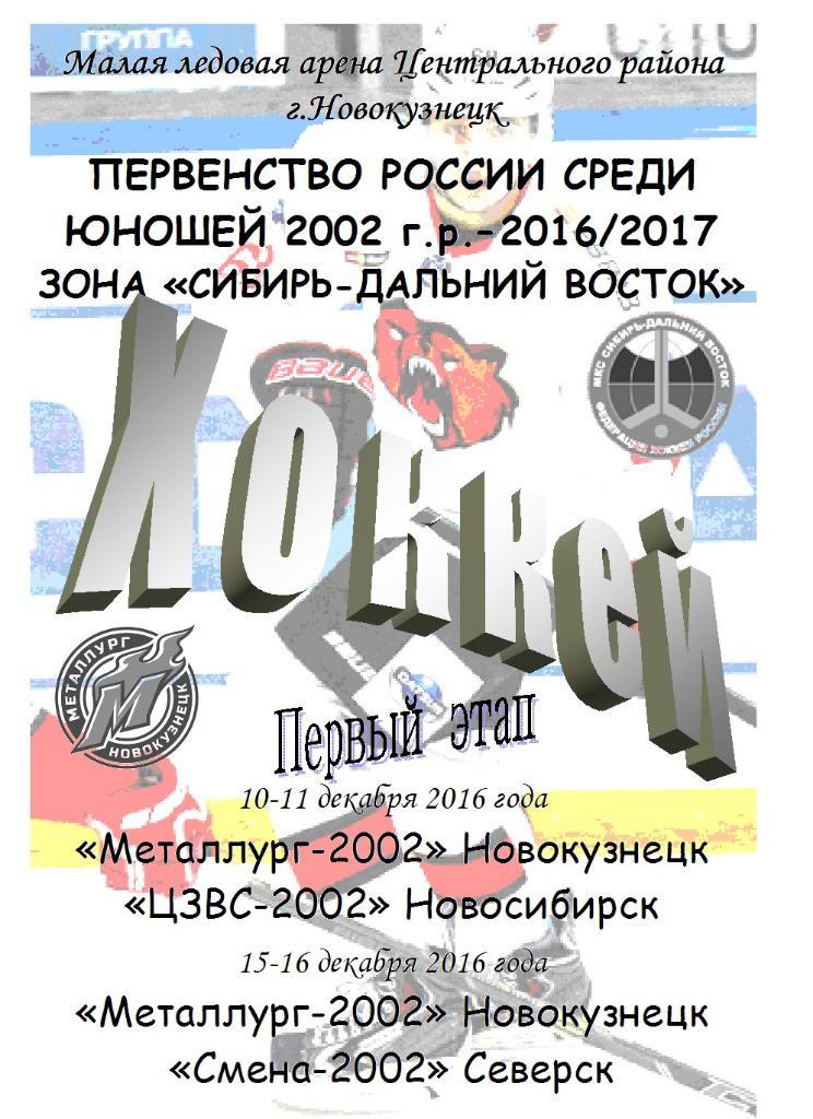 Металлург-2002(Новокузнецк) - ЦЗВС-2002 / Смена-2002(Северск) - 2016/17