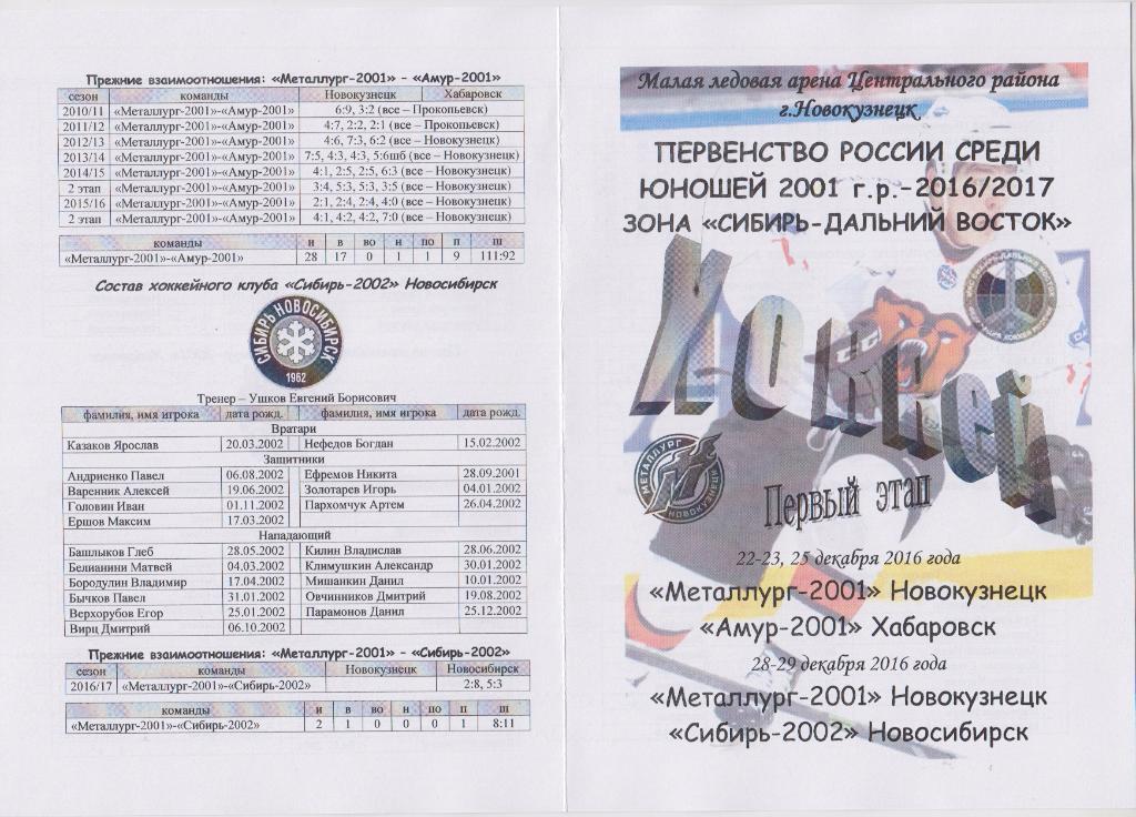 Металлург-2001(Новокузнецк) - Амур-2001 / Сибирь-2002(Новосибирск) - 2016/17