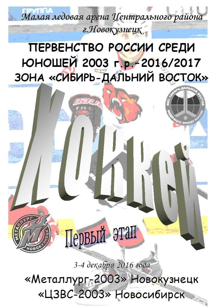 Металлург-2003(Новокузнецк) - ЦЗВС-2003(Новосибирск) - 2016/17