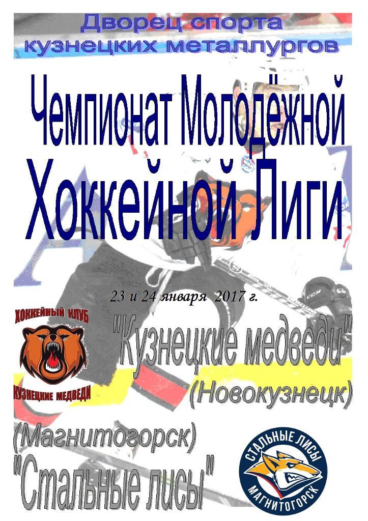 Кузнецкие медведи(Новокузнецк) - Стальные лисы(Магнитогорск) - 2016/17