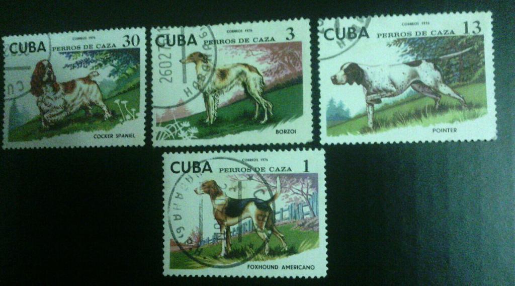 серия марок собаки куба 1976 год