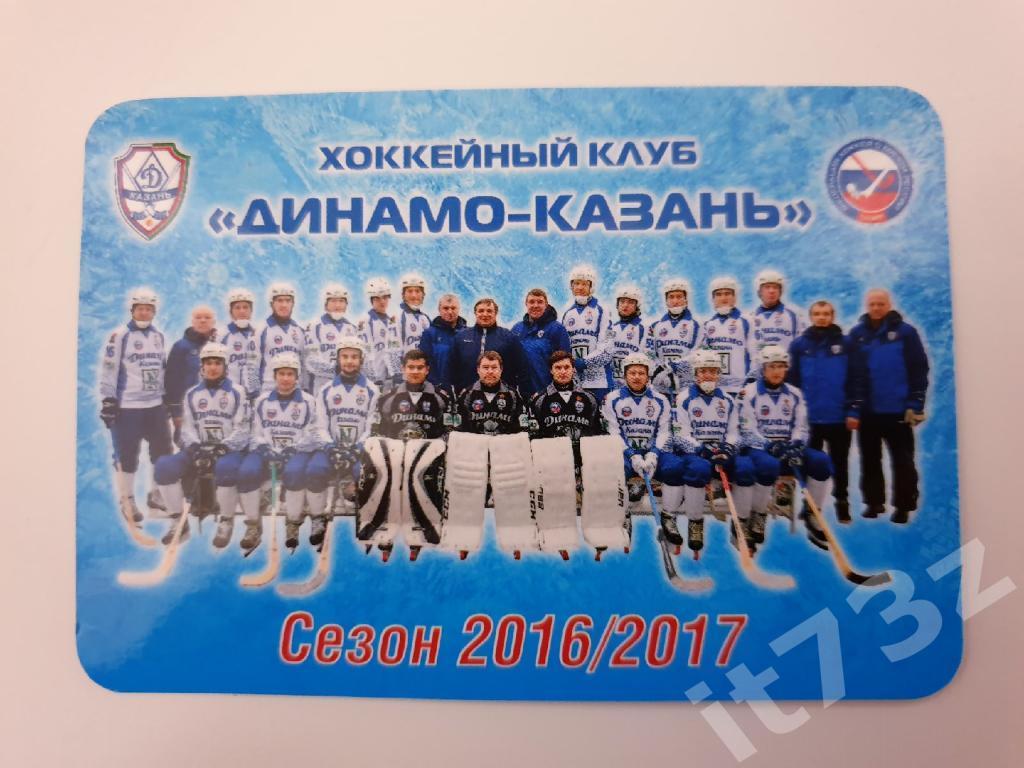 Хоккей с мячом. Динамо Казань сезон 2016/17 (10/6 см)