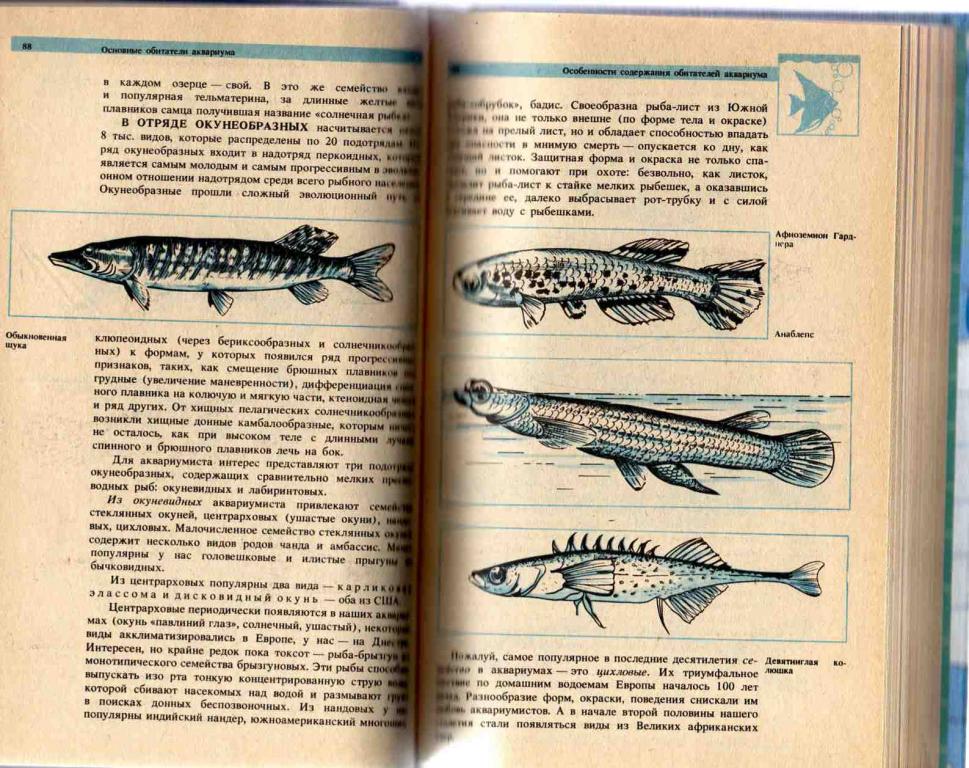 Аквариум.Секреты аквариумного рыбоводства 1993 г. 3