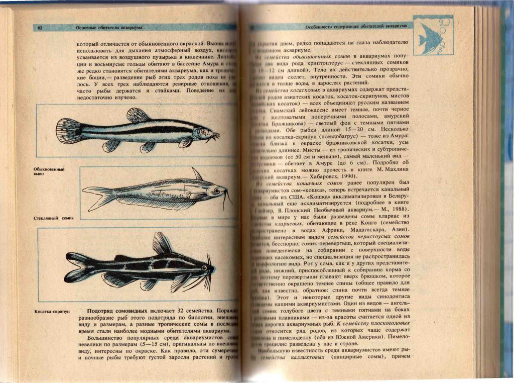 Аквариум.Секреты аквариумного рыбоводства 1993 г. 4