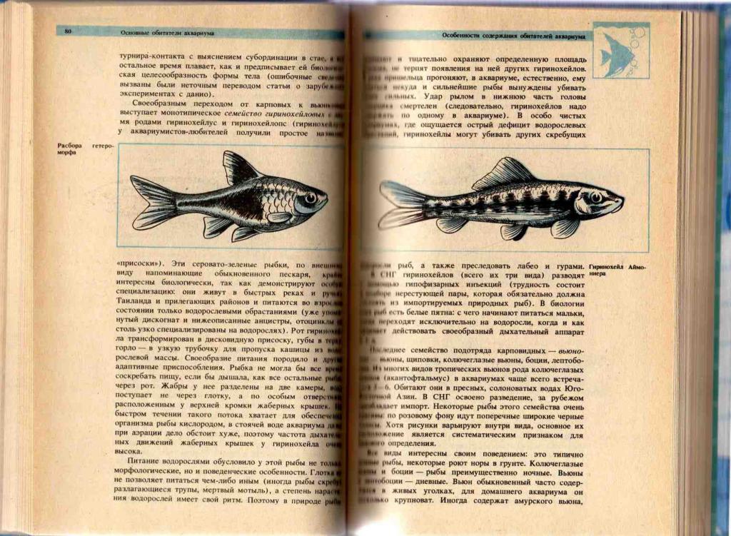 Аквариум.Секреты аквариумного рыбоводства 1993 г. 5