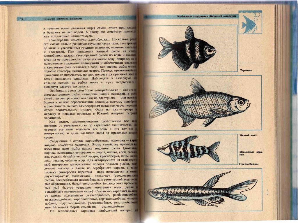 Аквариум.Секреты аквариумного рыбоводства 1993 г. 6