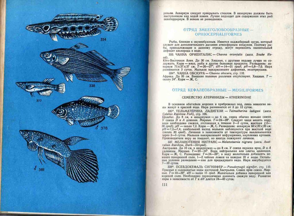 А.С.Полонский Аквариумные рыбы 1974 г. 2