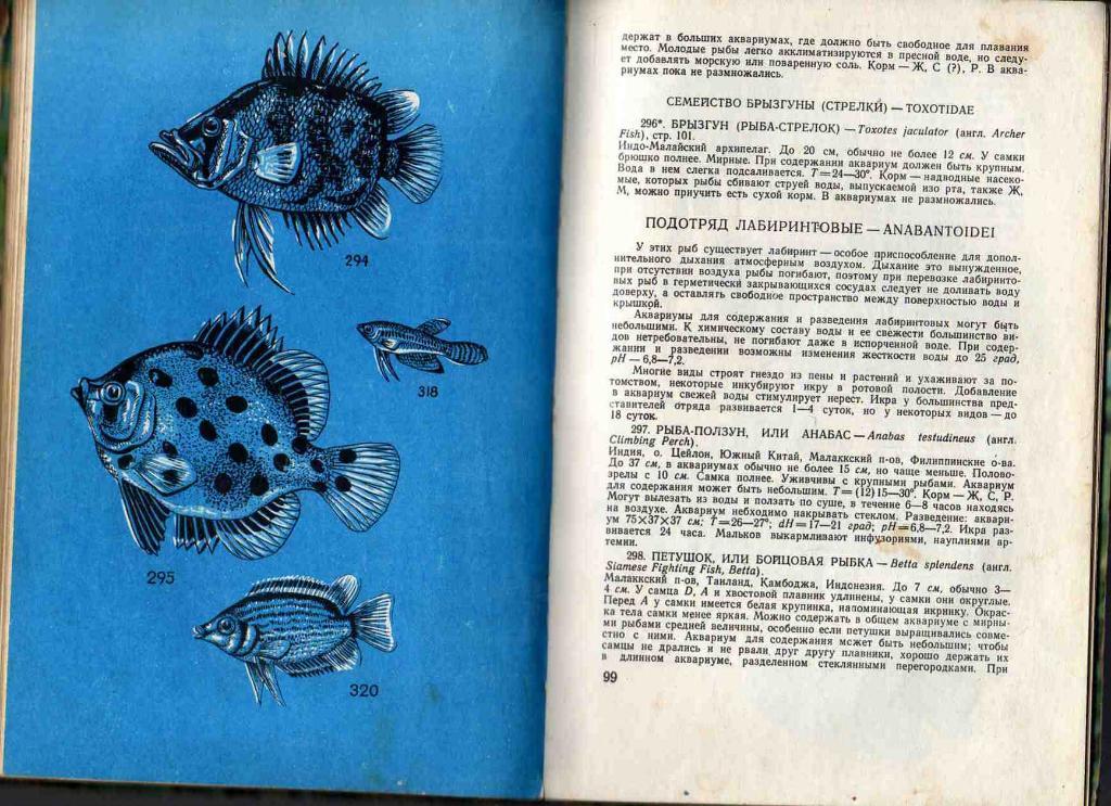 А.С.Полонский Аквариумные рыбы 1974 г. 4