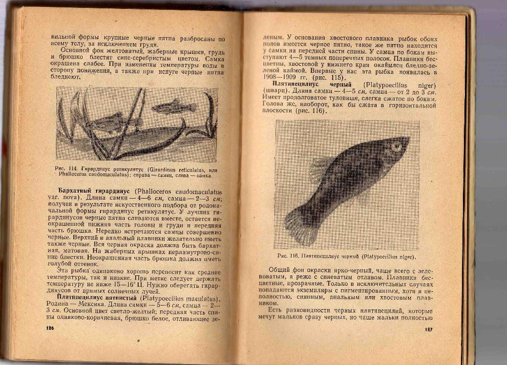 Комнатный аквариум ( издание 1965 г. ) 2