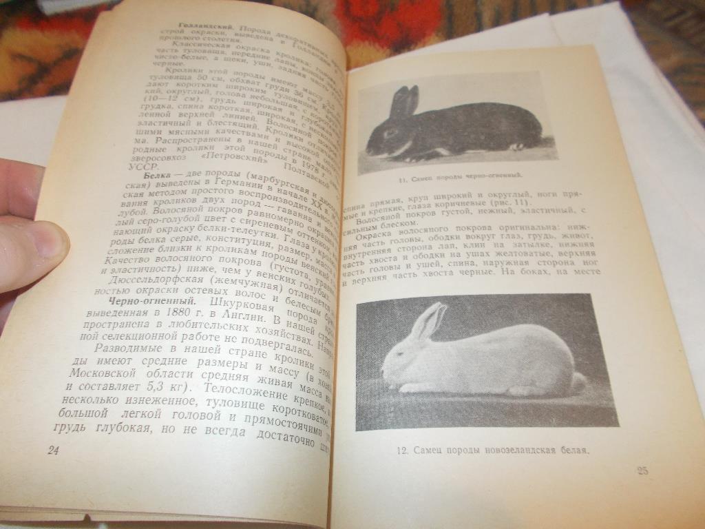 И.Минина - Как разводить кроликов ( 1984 г. ) 4